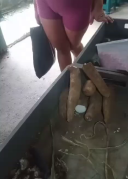 Vecina provocona cada que viene a la tienda + VIDEITOS 26