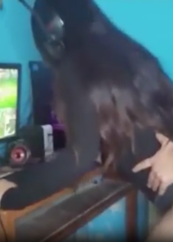 No la desconsentar nadie + video 18