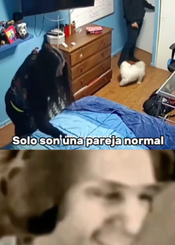 La parejitas normal del salón resulto terrible 😈 + video 11