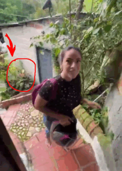 Cuando ella te va a culiar en el MOTELAZO + videito 26