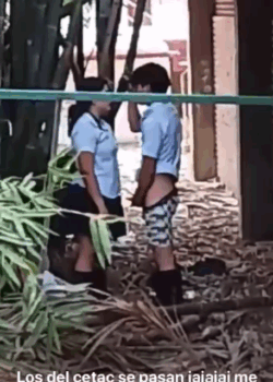 FILTRAN parte 1 y parte 2 de estos colegiales famosos + VIDEITOS 24