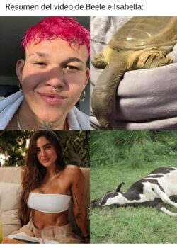 RESUMEN del video de Isabela Ladera y Belee . 16