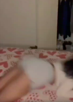 Peladita calientita + video 24